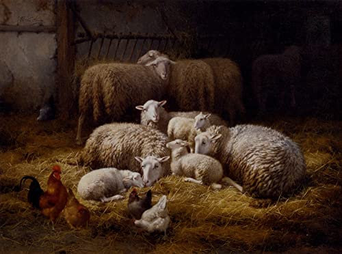 TVLAR Bekannt Leinwand Print Abstrakte Drucke Schafe und hühner in einem Bauernhaus von theo van sluys Leinwand Wandbilder für Wanddekoration 60x90cm