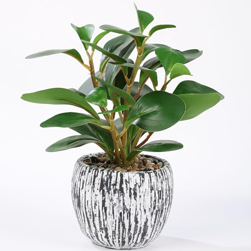 Artifolia Planta Artificial en Maceta de Cemento, 28 cm — Hojas Realistas | Sin Mantenimiento, Libre de Polen, Inalterable, Planta de Interior Compacta, para Escritorio, Baño, Balcón y Rincones Oscuros