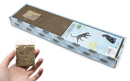 BPS Rascador Gatos Rascador Tabla de Cartón Papel Incluido Hierba Gatera 3 Modelos Elegir (Tabla Liso) BPS-10055