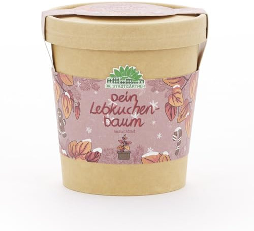 Anzuchtset für einen Lebkuchenbaum von Die Stadtgärtner | Katsura-Baum Starter-Set inkl. Pflanzbecher, Saatgut und Kokoserde | Tolle Geschenk-idee für Freunde, Kinder, Gärtner & Co.