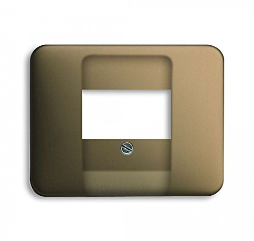 Busch-Jaeger 1766-21 Zentralscheibe