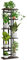QLFJ-FurDec 6 Tier Pflanzentreppe Halter Indoor, Holz und Metall Stehendes Blumenständer Regale, 7 Topf Multi Blumentopf Topfhalter für Balkon Garten Fensterbank Ecke (6 Tier 7 Töpfe, Schwarz)
