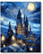 77iiAii Malen Nach Zahlen Erwachsene, Malen Nach Zahlen Knitterfreie Leinwand Bilder Schloss, Paint by Numbers DIY Kreativ Bastelset für Geschenk Heimdekoration 40x50cm