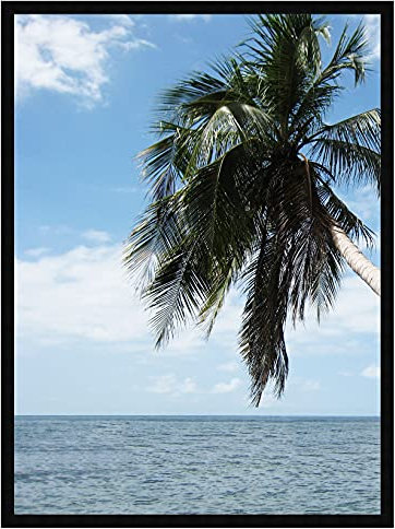 Cadre Photo Mural 25x25 cm / 25 x 25 cm Cadres Noir, 2 cm de Largeur, Cadre en Bois