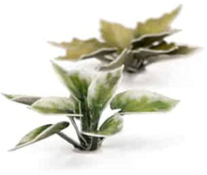 Gamers Grass Laser Cut Plants - Plantain Lily (Wargame / Model Basing), Purple