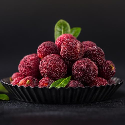 5 pcs arbutus früchte samen - säulenobstbäume bio saatgut frisches obst obstbäume obstsamen baumsamen exotische früchte bäume garten winterhart bonsai baum topfpflanzen draußen winterhart