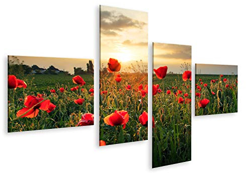 Bild Bilder auf Leinwand Mohnblumen Feldblume bei Sonnenuntergang Wandbild, Poster, Leinwandbild PYC