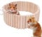 Hamster Kletterleiter,Hamster Kletterspielzeug,2 In 1 Käfigleiter Kauspielzeug Aus,Hamster Holzleiter,Harmloses Holzspielzeug Und Käfigzubehör, Kletterleiter Und Zaun Set Für Hamster,Mäuse