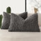 Foindtower Gelockten Teddywolle-Kissenbezüge, dekorativ, Bouclé, strukturiert, Lendenwirbelkissen, Kunstfell, Sherpa-Kissenbezüge, Schaffell, flauschig, für Sofa, Schlafzimmer, Auto, 2er-Set,