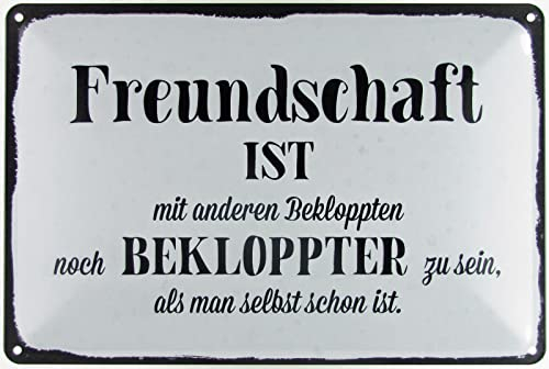 Blechschild 20x30cm gewölbt Freundschaft ist Humor Spruch Sprüche Deko Geschenk Schild
