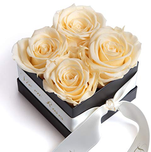 Rosenbox La Vie en Roses 4 konservierte Rosen haltbar 3 Jahre Schachtel mit infinity Rose in Champagner von ROSEMARIE SCHULZ® Heidelberg (Beige)