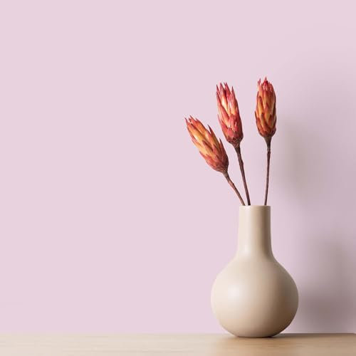 K&L Wall Art Pintura mate para pared de 5 litros, color rosa