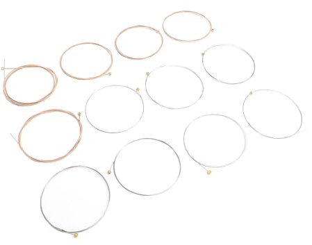 Sostituzione a 12 Corde, Rivestimento Protettivo in PU in Bronzo Fosforoso Corde per Chitarra Acustica Facile da Installare Applicabile per Chitarra Acustica a 12 (R12