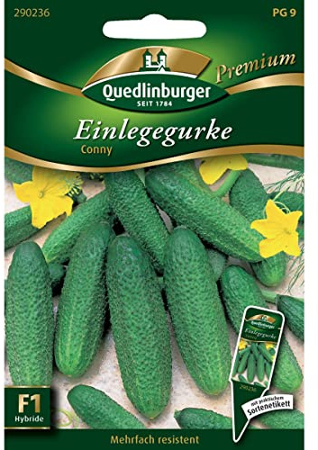 Quedlinburger Saatgut - Einlegegurken Conny Samen