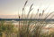 Forwall - Vlies Fototapete Gras Dünen Strand Meer Ostsee Natur Landschaft 416x290 cm - Fototapeten - Tapeten - für Wohnzimmer Schlafzimmer - Vliestapete Wandtapete Tapete 3D Effekt- inkl. Kleister