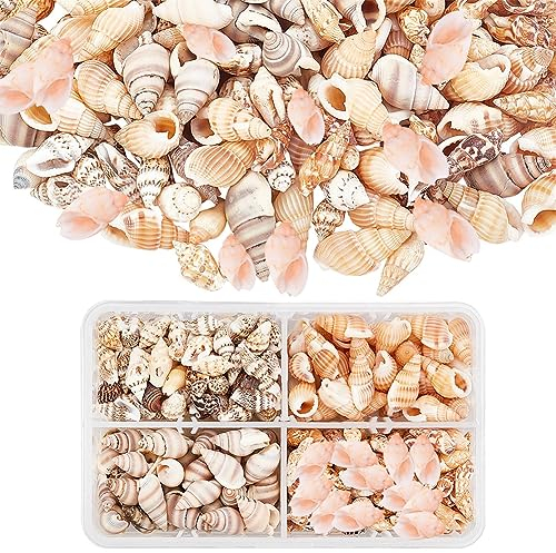 PandaHall Über 70g / 330pcs 4 Styles Spiral Shells, Ocean Beach Conch Muscheln Mit Loch Und Ohne Loch Für Armbandschmuck, Kunst, Heimtextilien, Aquarium Und Vasenfüller