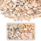 PandaHall Über 70g / 330pcs 4 Styles Spiral Shells, Ocean Beach Conch Muscheln Mit Loch Und Ohne Loch Für Armbandschmuck, Kunst, Heimtextilien, Aquarium Und Vasenfüller