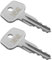 RMSPO Clé N054R pour clé de rechange Thule, convient pour Thule Ski, toit, boîte de chargement, porte-bagages et barres transversales (code – N054R)