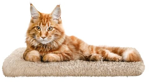 Katzen Fensterliege Fensterbank rutschfest - Katzenbett Fensterbank 50x20 cm - Weich & Kuschelig - Fensterliege für Katzen Selbstheizende Katzendecke - Waschbarer Bezug (Beige)