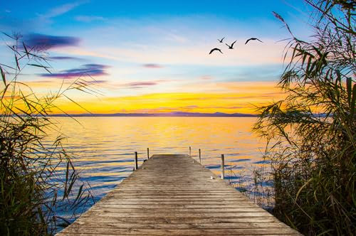 Papier peint panoramique - Ponton - Largeur 384 cm x Hauteur 255 cm