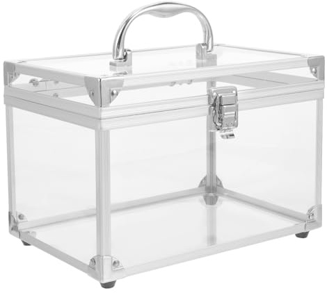 BETOOKY Organizer Porta CD e Dvd in Acrilico Trasparente Argento, Scatola Salvaspazio Portatile con Maniglia per Archiviazione Domestica e Facile Accesso