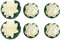 WINOMO 6pcs künstlichen Teich Pflanzen Lotus Lilien (weiß)