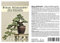 Seedeo® Blaue Atlas Zeder (Cedrus atlantica glauca) Bonsai 20 Samen