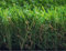 Hochwertige Kunstrasen Rasenteppich Duke für Garten - 400x150 cm - Florhöhe 40 mm - UV-Garantie 7 Jahre (DIN 53387) - Gewicht ca. 1589 gr/m²