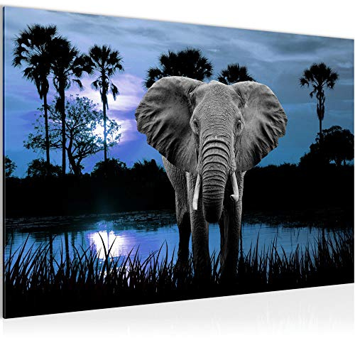 Runa Art Bild Afrika Elefant Modern Wandbilder Wohnzimmer Schlafzimmer 1 Teilig - Made In Germany - Sonnenuntergang Nachthimmel Blau Flur 001915c