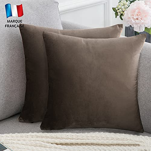 Douceur De Plumes 2er Set Dekorativer Kissenbezug aus Taupe Samt, 50x50 cm, hellbrauner, rechteckiger, weicher, moderner Kissenbezug, skandinavisches Wohnzimmer, Sofa, Schlafzimmerdekor (2 Taupe)