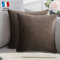 Douceur De Plumes 2er Set Dekorativer Kissenbezug aus Taupe Samt, 50x50 cm, hellbrauner, rechteckiger, weicher, moderner Kissenbezug, skandinavisches Wohnzimmer, Sofa, Schlafzimmerdekor (2 Taupe)