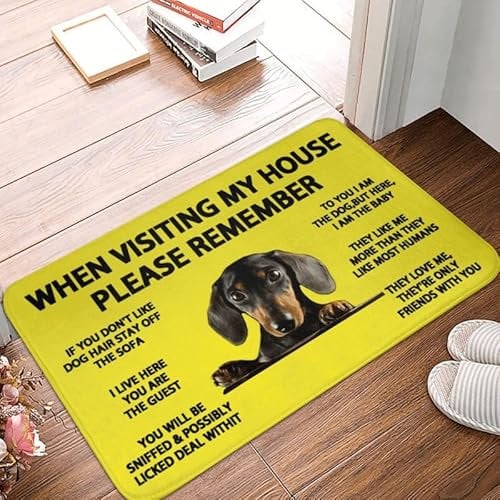 Bioonce When Visiting My House Please Remember Dachshund Dog Indoor Doormat Durable Welcome Front Door Mats Entryway Rugs Non-Slip Absorbent Area Rugs Resist Dirt Carpet for Room Decor 16 x 24 Inch