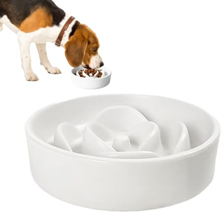 Gamelle pour chien | Jeu d'alimentation interactif en céramique pour chien | Pour chiot, chaton, salon quotidien, intérieur et extérieur