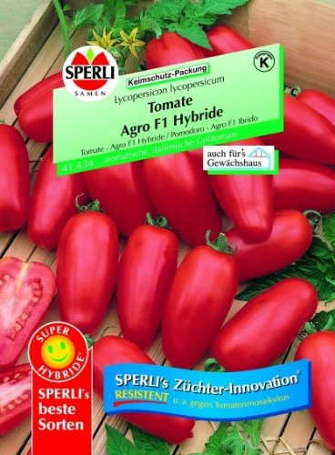 Tomate Agro F1 Hybride