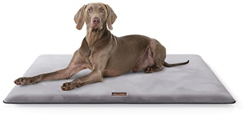 Knuffelwuff Kuschelige Hundematte Sunport aus weichem Fellimitat 120x80cm - Hundekissen für große, mittelgroße und kleine Hunde - Für Zuhause, Auto, Wohnmobil, Wohnwagen