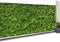IDMarket - Brise Vue occultant 1,2 x 10 M imprimé Feuillage 160 GR/m²