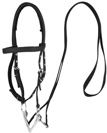 AQINGR Pferdezaumzeug Zaumzeug Zaumzeug Zaumzeug verstellbar Pferdehalfter Reitzügel schwarz S