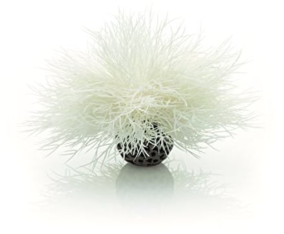 biOrb 46078 Aquarien Seelilie, weiß – kleine Aquariumdekoration (10 x 10 x 11 cm), detaillierte Wasserpflanze aus Kunststoff, für Süßwasseraquarien, Meerwasseraquarien
