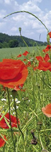 1art1 Fleurs Champ De Coquelicots Poster Papier Peint 250x79 cm