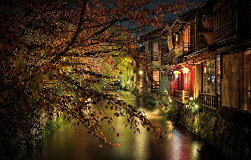 LHJOYSP Jigsaw Puzzle 1000 Teile Lichter der Stadt, Japan, Kyoto 75x50cm
