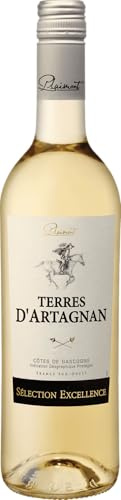 Plaimont Terres Dartagnan Blanc 2024 0.75 L Flasche