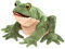 Folkmanis 3099 Green Hand Puppet - Tan