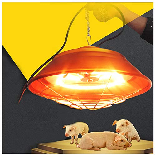 Aprilhp Heizlampe Hühner Wärmelampe Küken Wärmestrahlgerät Tiere Pet-Wärmelampe, Halten Sie Die Tiere im Winter Nachts Warm, Durchmesser: 30cm/36cm