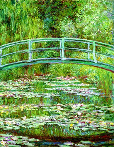 liziciti Monet 5D-Diamant-Malerei-Set, volle Bohrmaschine, berühmte Diamant-Gemälde, Kollektion für Heim-Wanddekoration, DIY, 30,5 x 40,6 cm (Seerosenteich)