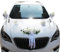 Autoschmuck Hochzeit,Braut Paar Rose Blumen Deko Auto Schmuck Brautwagen Girlande Band Dekoration Wedding Hochzeitsauto Deko Hochzeit Auto Dekoration Hochzeitsdekoration,Hochzeitsdeko Auto,Weiß
