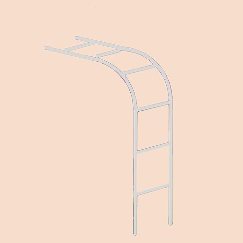 Gartenbogen aus Metall, gegen die Wand Rosenbogen, halbe Seite Edelstahl torbogen, Terrassen Kletterreben unterstützen Pergola, Außenterrassengitter garten torbogen dekorative ( Color : Side tube 19mm