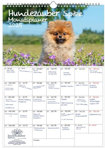 Hundezauber Spitze Planer DIN A3 Kalender für 2025 Hunde Welpen - Geschenkset Inhalt: 1x Kalender, 1x Weihnachtskarte (insgesamt 2 Teile)