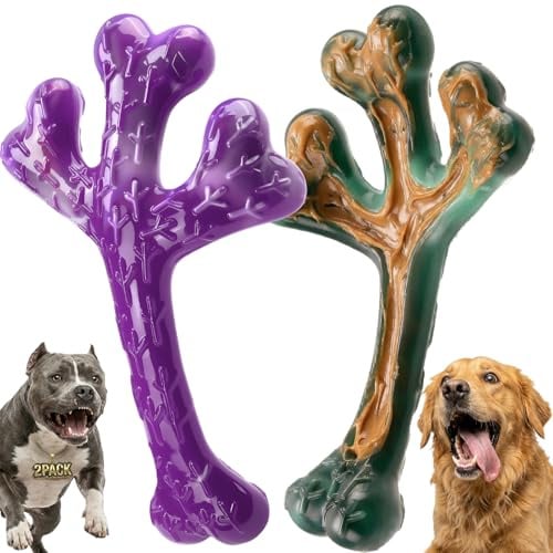 Chienbox Juguete Perro Indestructible para Masticadores Agresivos: 2 Piezas Juguetes para Perros Medianos y Grandes, Juguete Perro de Nylon, Juguetes Perros Grande para Entrenamiento y Limpieza Dental