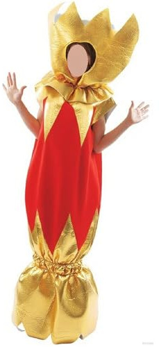 SANSIWU Adult Unisex Christmas Costume Christmas Cracker Novelty Fancy Dress Holiday Xmas Cosplay Costume