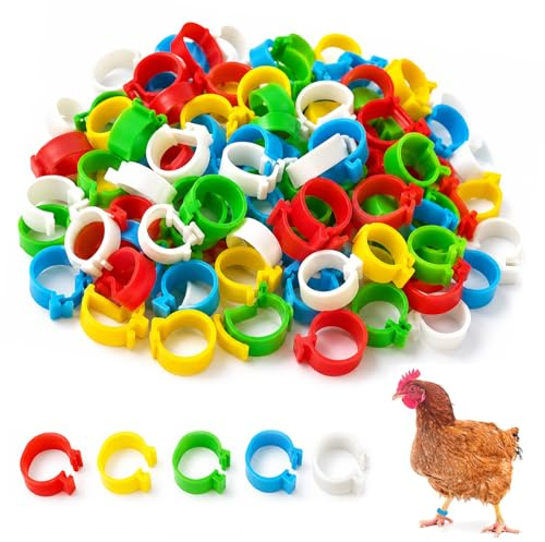 HYRKOTW 100 piezas de anillos de plástico coloridos ajustables, anillos reutilizables para pollos, gallinas, palomas, patas de pollo, pájaros, loros, loros